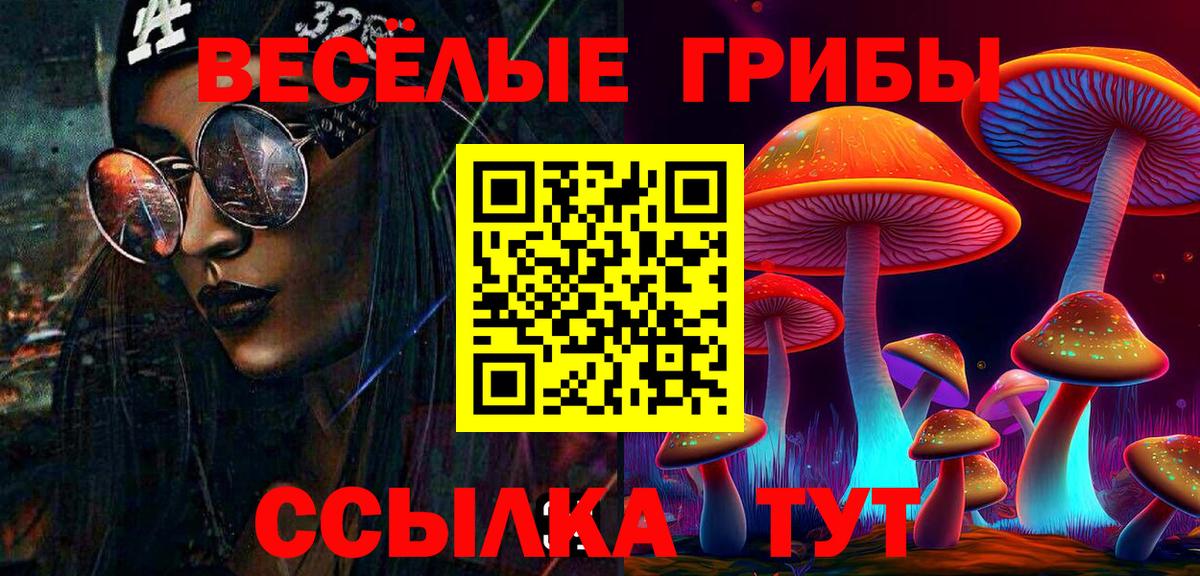 Галлюциногенные грибы Psilocybine cubensis  Вход с VPN  Лениногорск  Галлюциногенные грибы прущие грибы 